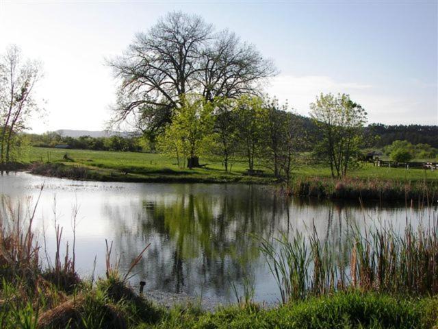 Elk Creek Resort Piedmont Esterno foto